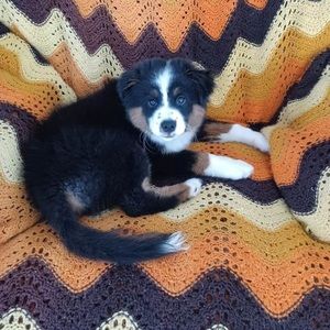 Meet your Posher, Sheri